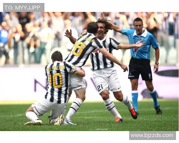 法国五号足球明星的传奇之路与辉煌成就全解析